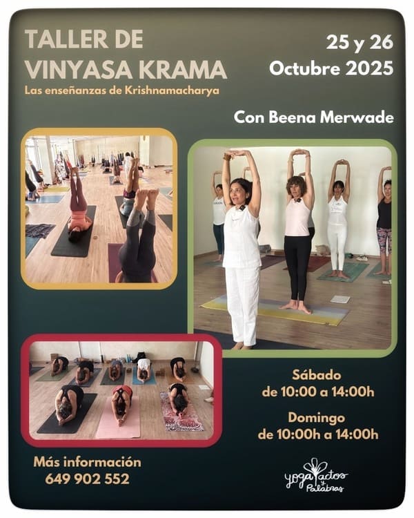 taller octubre 25