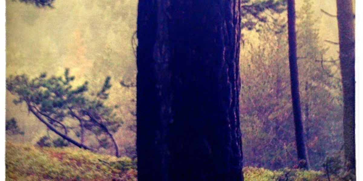 la+foto.JPG